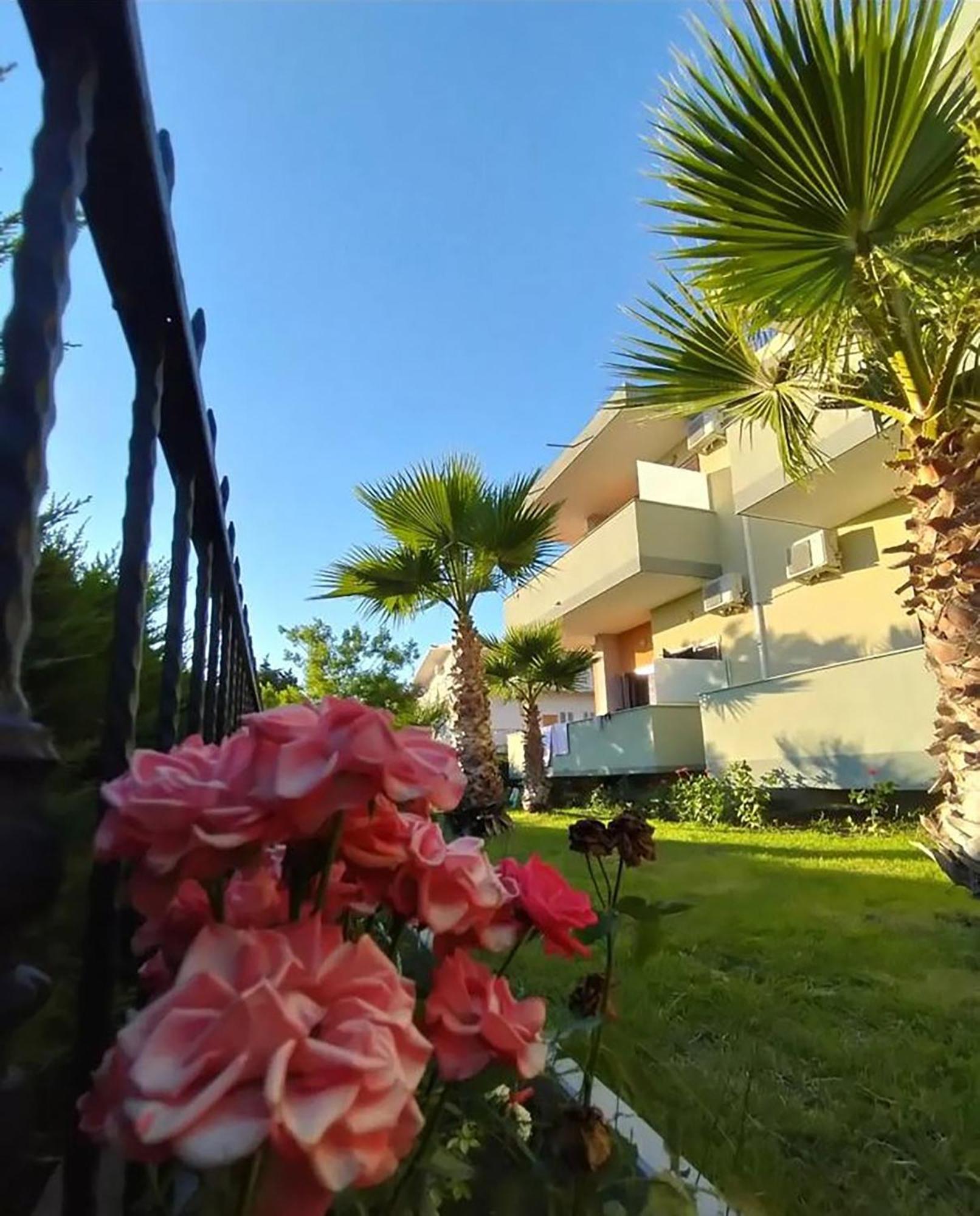 Hotel Jaho *